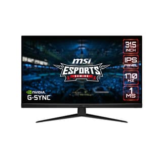 MSI G321Q WQHD 170Hz 1ms IPS Gaming Monitor (31.5", 16:9, 100x100mm VESA) - 9S6-3DB91A-032