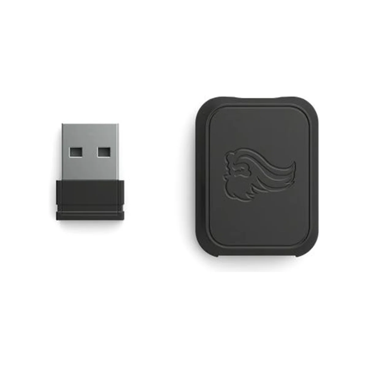 GLORIOUS Wireless Dongle Kit Replacement Receiver - Matte Black (2.4GHz Wireless, USB-A to USB-C) - GLO-ACC-MS-WDK-MB