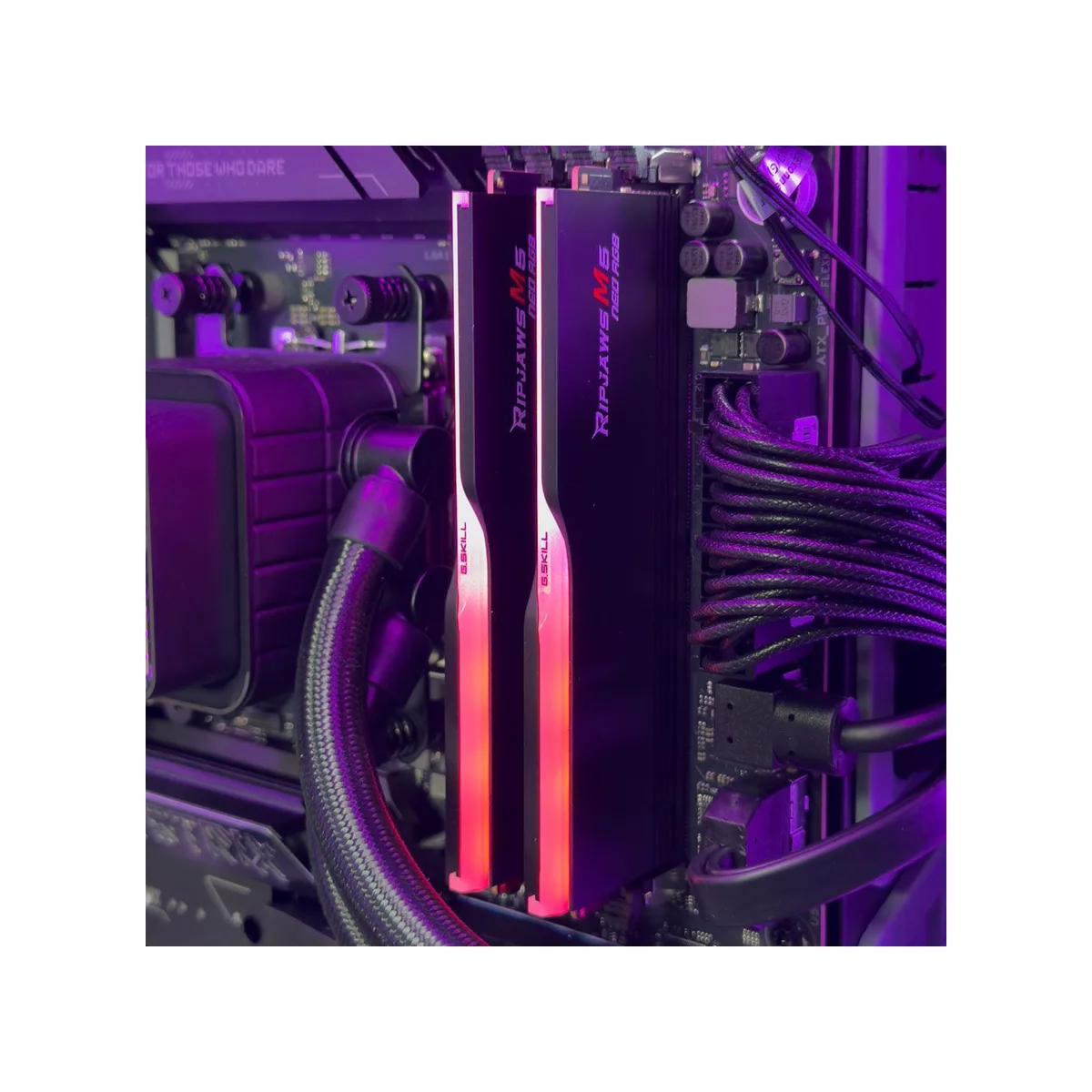 Gaming PC Evo Gaming Desktop (Ryzen 7 9800X3D, 64GB DDR5, RTX 5080 16GB) - Gaming_PC_Evo view 8