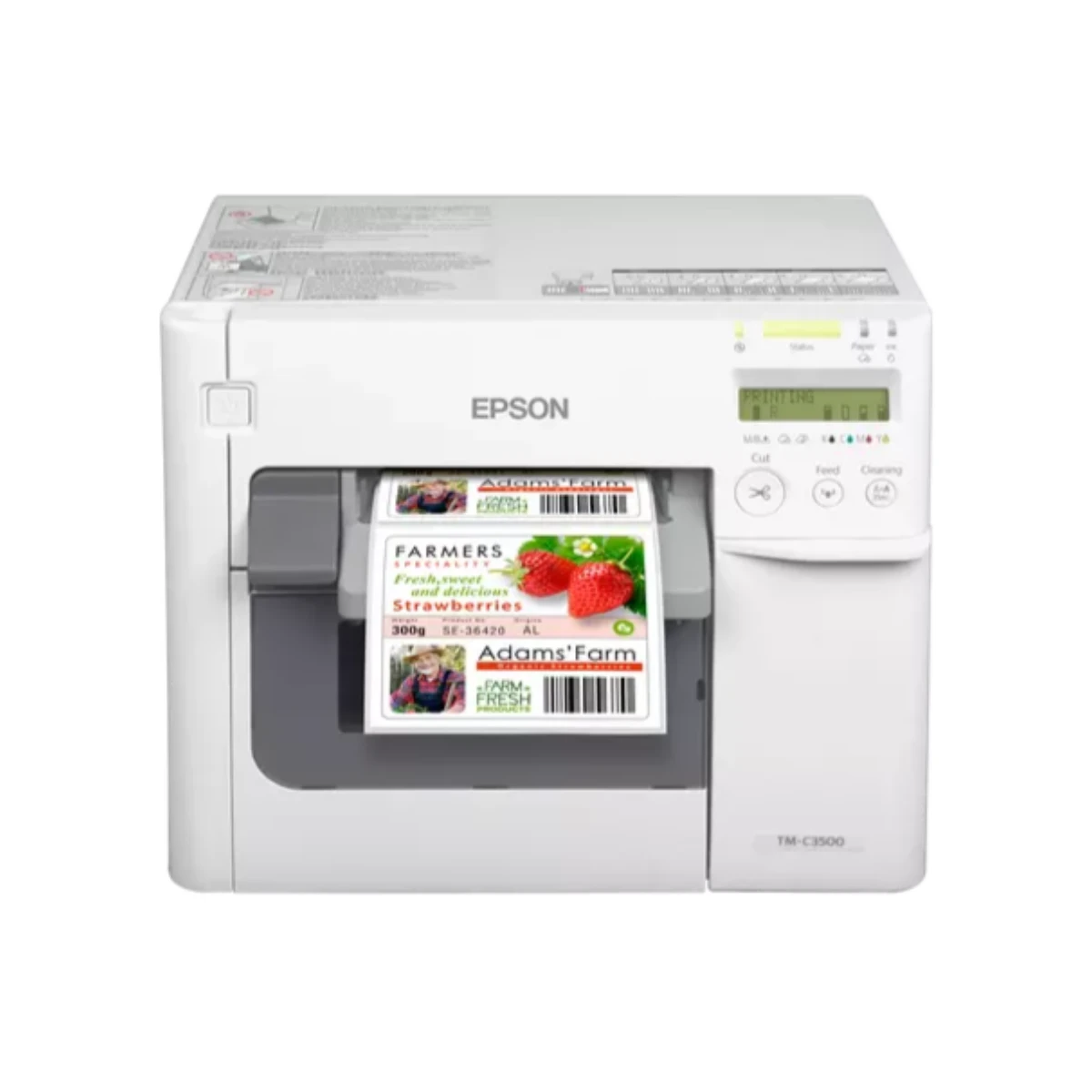 Epson ColorWorks C3500 Color Label Printer - C31CD54012 view 2