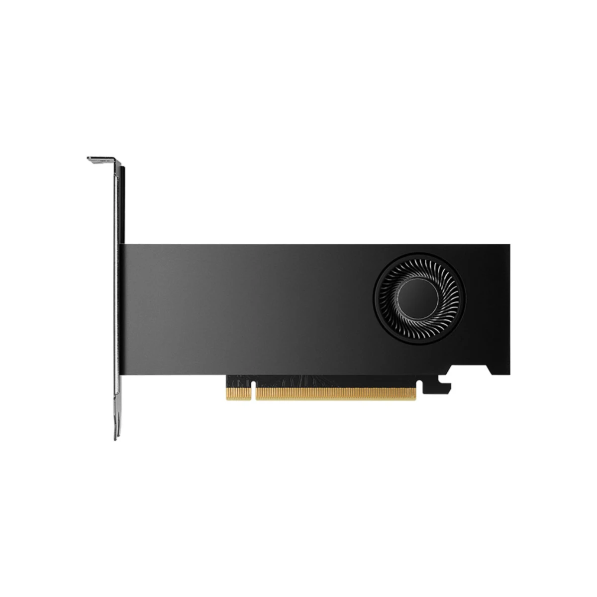 PNY NVIDIA RTX 2000 ADA LP 16GB Ada Workstation Graphics Card - Black | VCNRTX2000ADA-SB view 3
