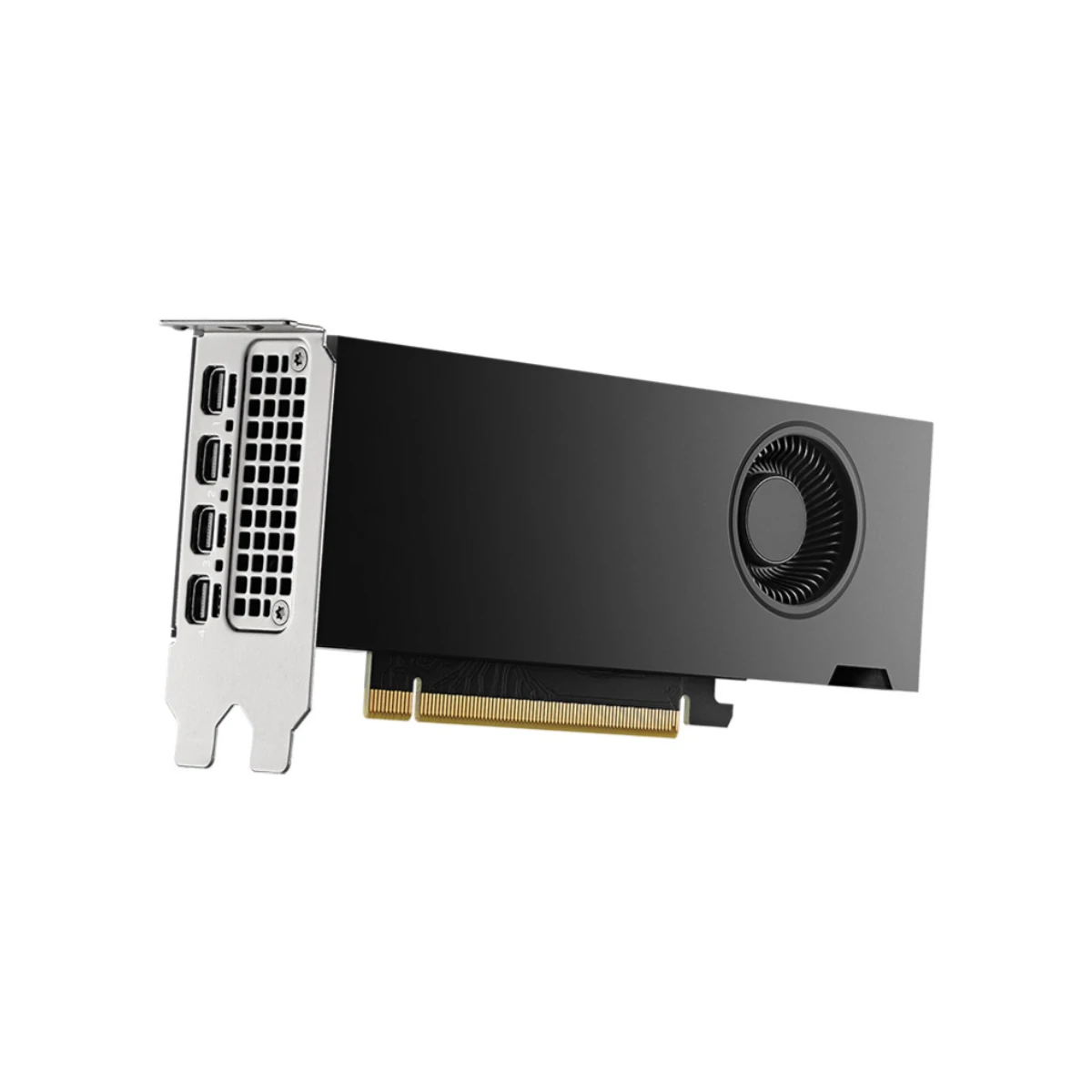 PNY NVIDIA RTX 2000 ADA LP 16GB Ada Workstation Graphics Card - Black | VCNRTX2000ADA-SB